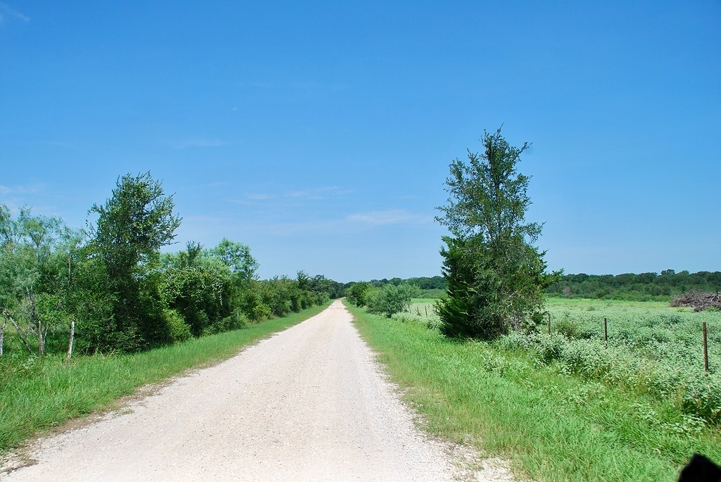 9590 Maynard Hallmark Road Flatonia, TX 78941 - Photo 29 of 31 a view of a street with a yard and trees in the background