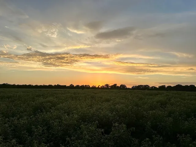 $1,950,000 | 9590 Maynard Hallmark Road, Flatonia, TX 78941