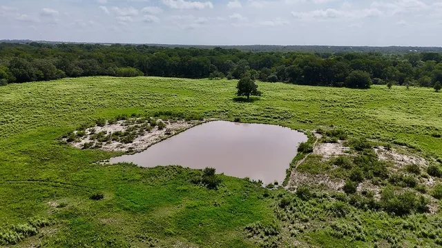 a view of a forest with a street