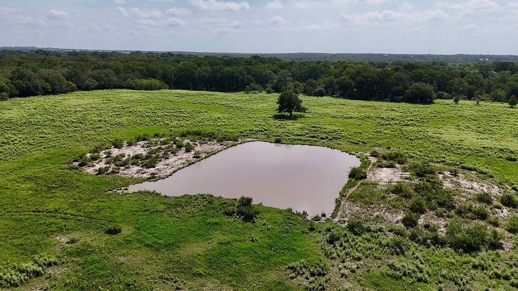 9590 Maynard Hallmark Road Flatonia, TX 78941 - Photo 4 of 31 a view of a grassy area