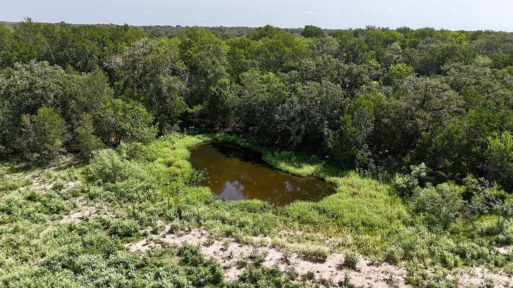 9590 Maynard Hallmark Road Flatonia, TX 78941 - Photo 5 of 31 a view of a forest with a street