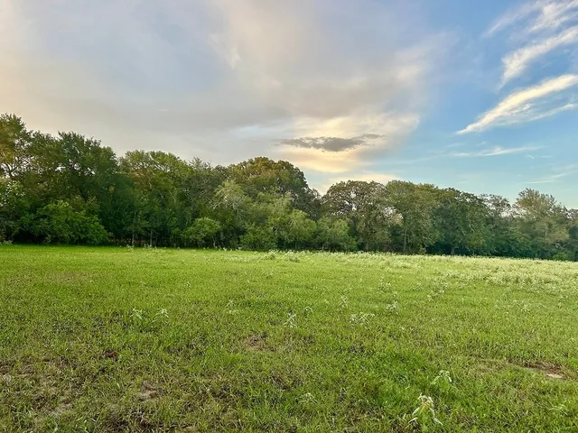 a view of a large building with a lush green forest