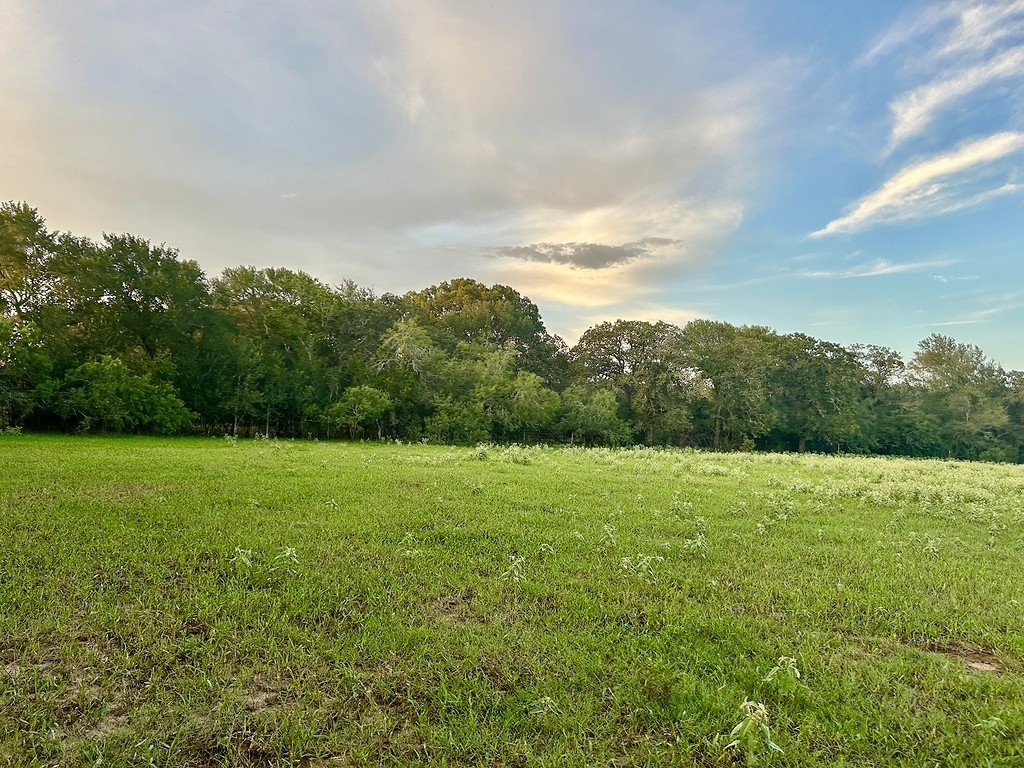 9590 Maynard Hallmark Road Flatonia, TX 78941 - Photo 6 of 31 a view of outdoor space and yard