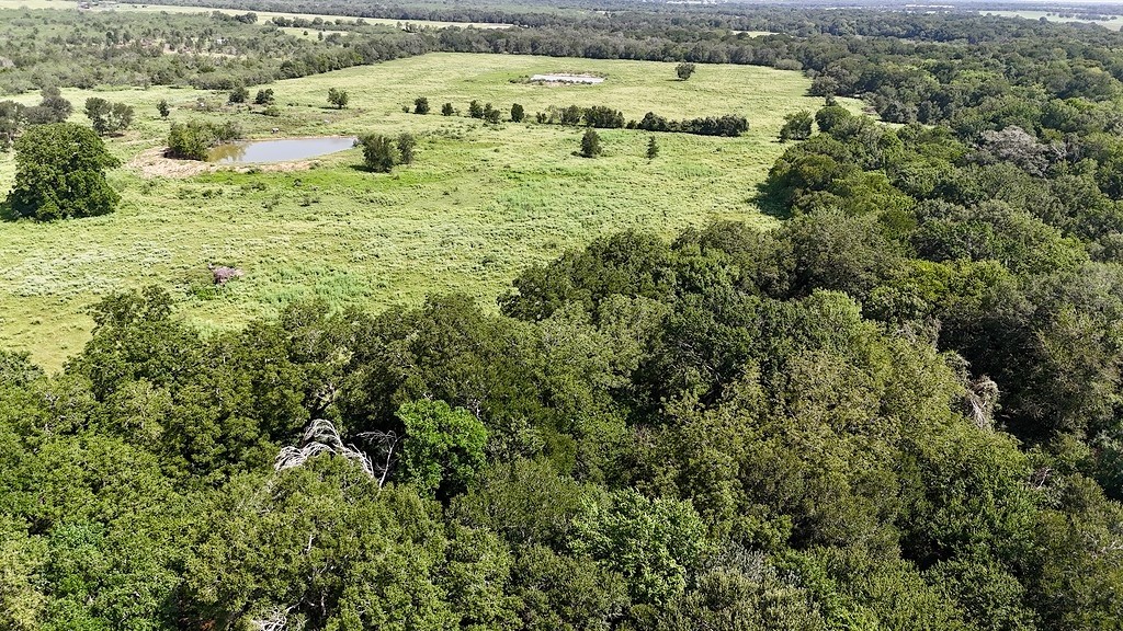 9590 Maynard Hallmark Road Flatonia, TX 78941 - Photo 7 of 31 a view of a large building with a lush green forest