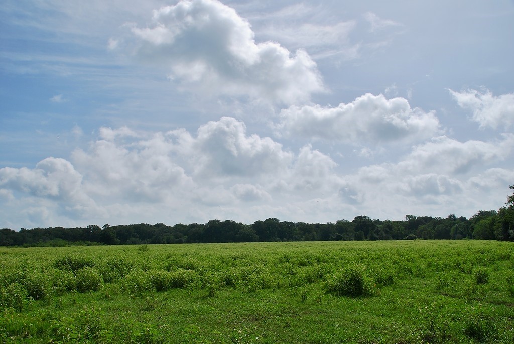9590 Maynard Hallmark Road Flatonia, TX 78941 - Photo 8 of 31 a view of a lake with a city