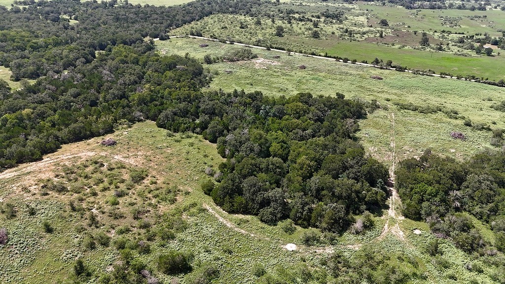 9590 Maynard Hallmark Road Flatonia, TX 78941 - Photo 9 of 31 a view of a forest with a building
