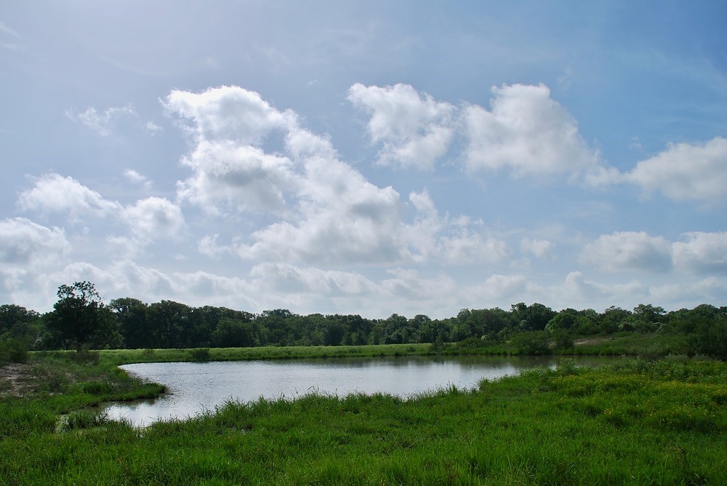 9590 Maynard Hallmark Road Flatonia, TX 78941 - Photo 10 of 31 a view of a lake with houses in the back