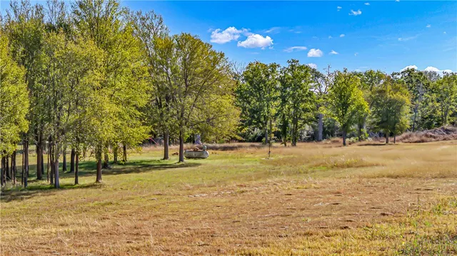 a view of a yard with trees in the background