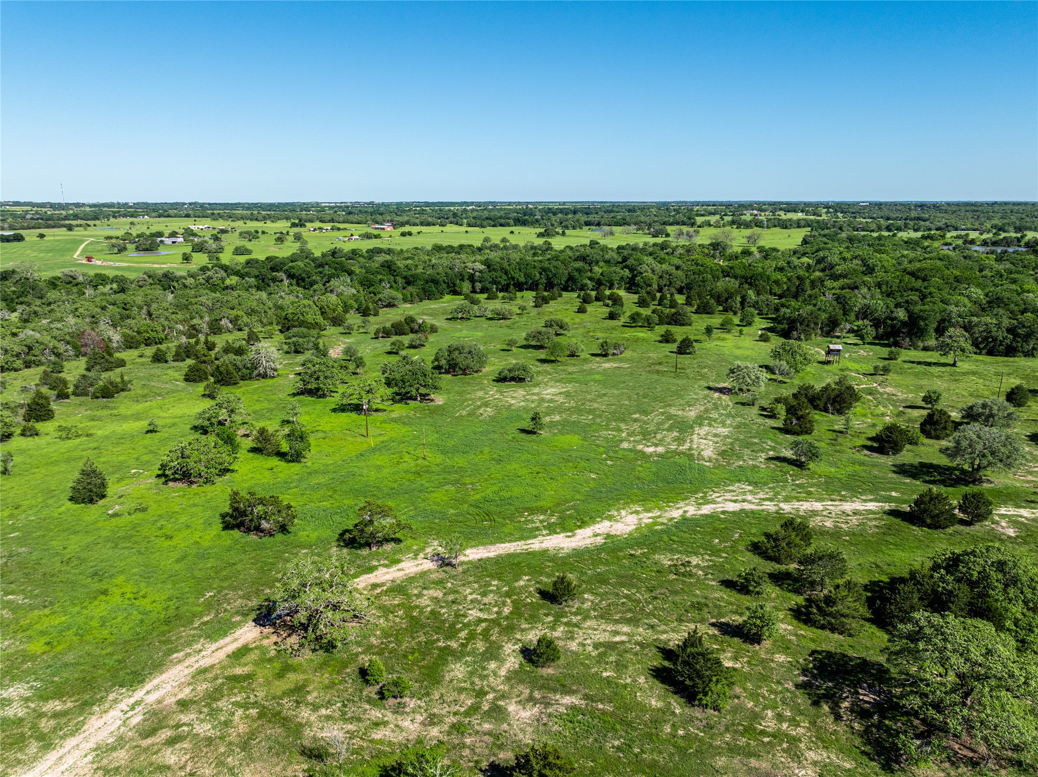 2839 Schoenst Road Carmine, TX 78932 - Photo 12 of 15