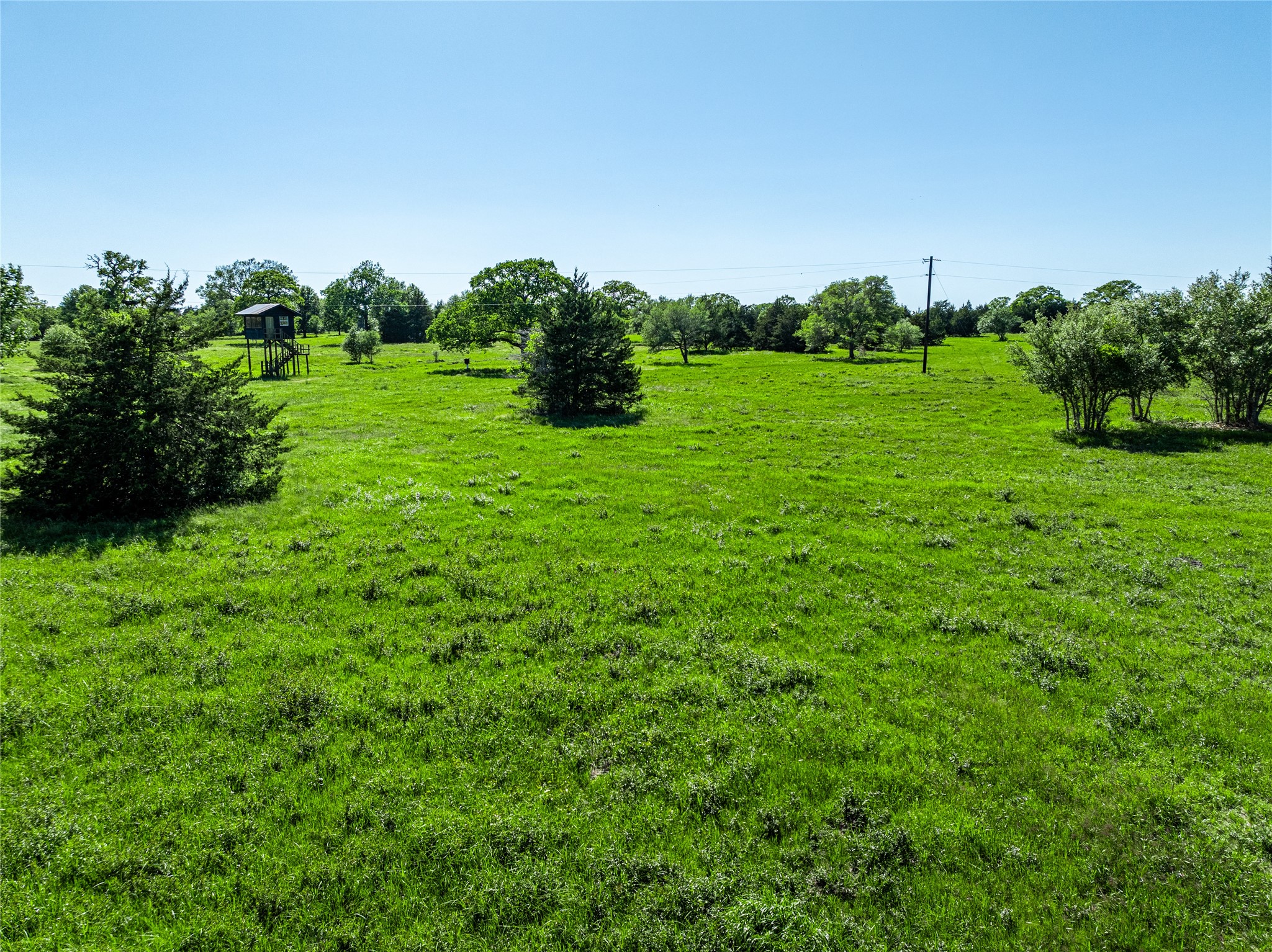 2839 Schoenst Road Carmine, TX 78932 - Photo 4 of 15