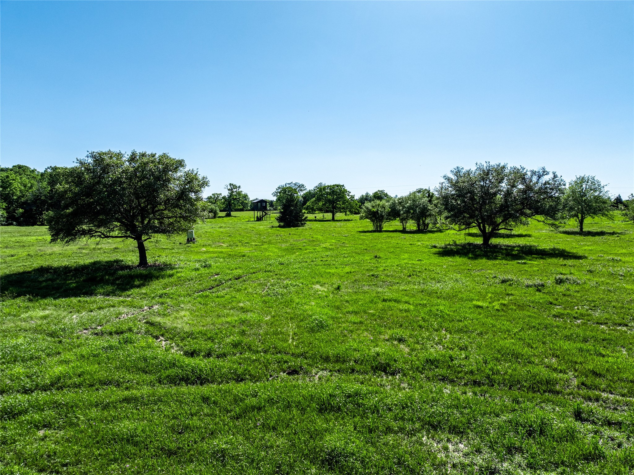 2839 Schoenst Road Carmine, TX 78932 - Photo 6 of 15