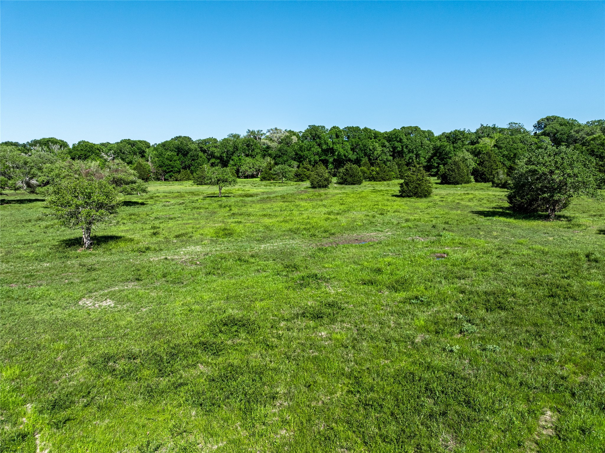 2839 Schoenst Road Carmine, TX 78932 - Photo 8 of 15