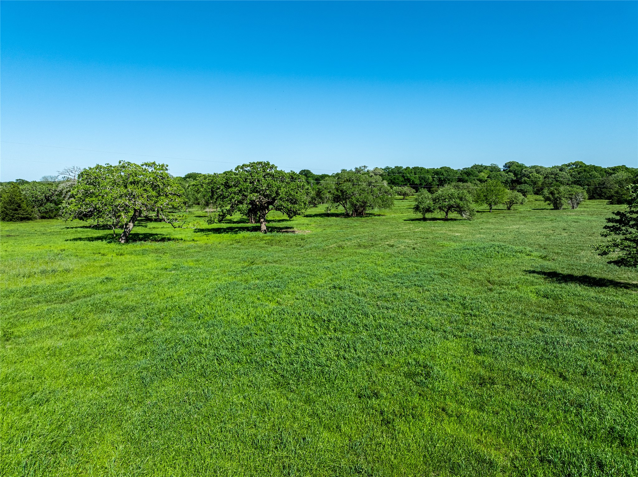 2839 Schoenst Road Carmine, TX 78932 - Photo 9 of 15