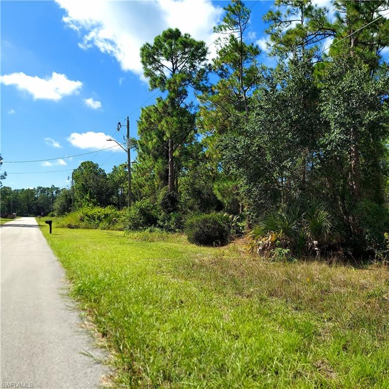 2111 Grayson Avenue Alva, FL 33920 - Photo 2 of 2 a view of a large yard with lots of green space