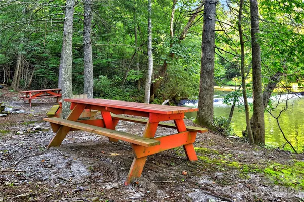 a view of a bench in a backyard