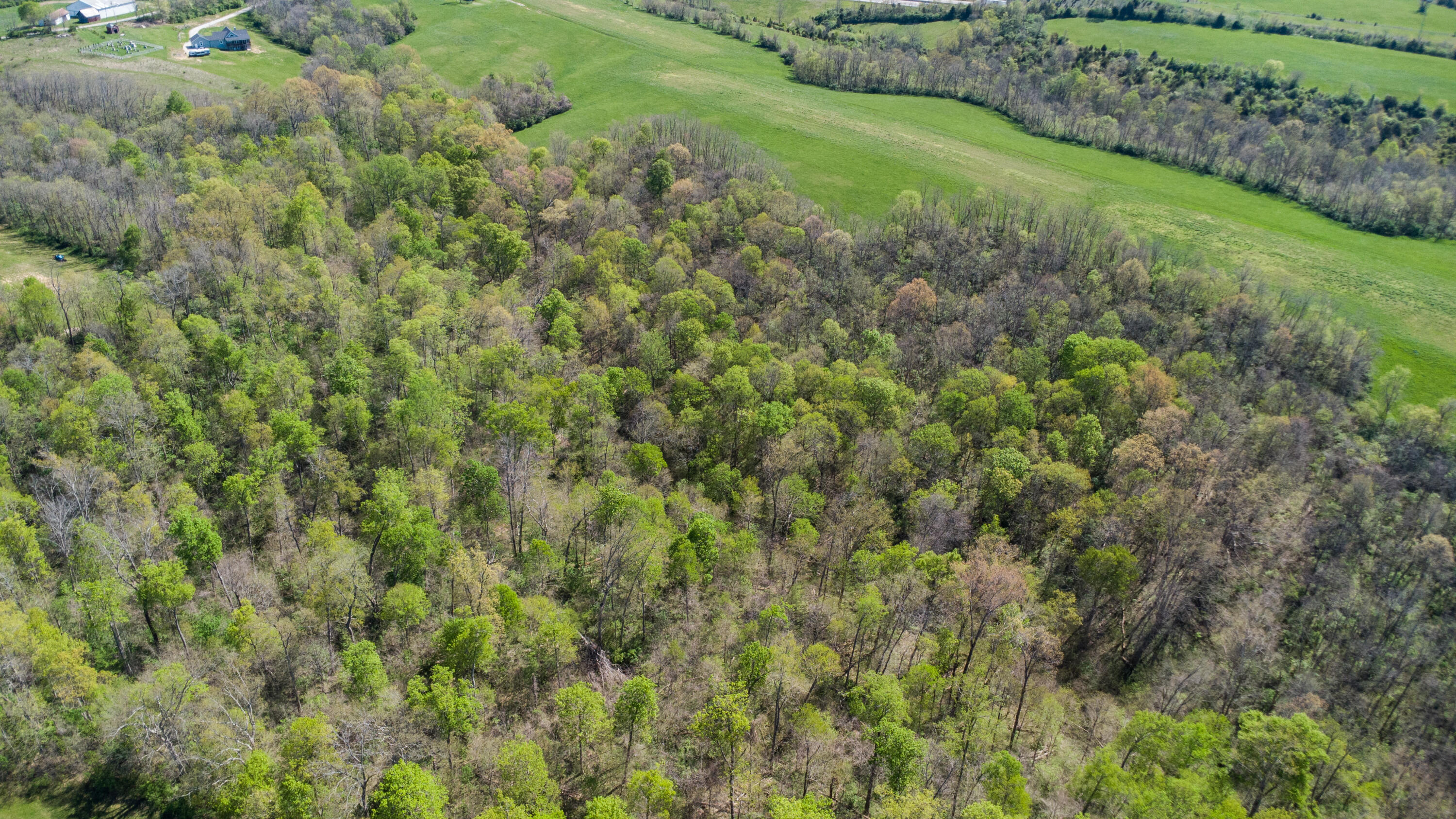 0 Baton Rouge 5.1 Acres Road Williamstown, KY 41097 - Photo 17 of 24 Gallery Image 17
