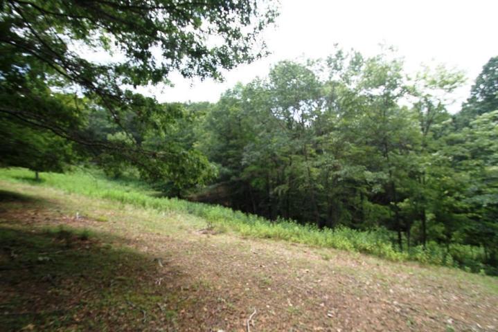 848 Mount Zion Church Road Alderson, WV 24910 - Photo 4 of 60 Gallery Image 4