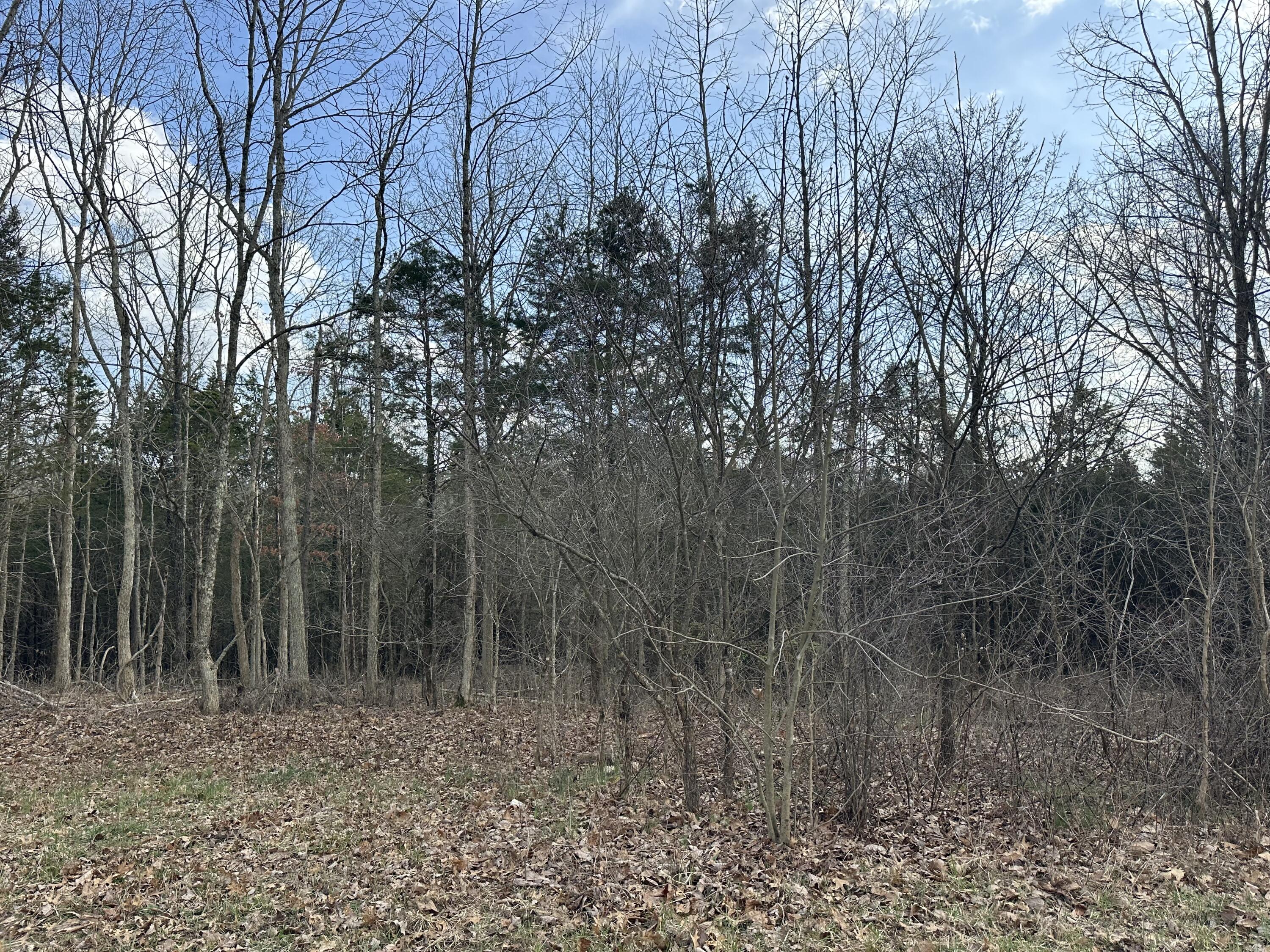 293031 Fox Trail Road Corinth, KY 41010 - Photo 13 of 20