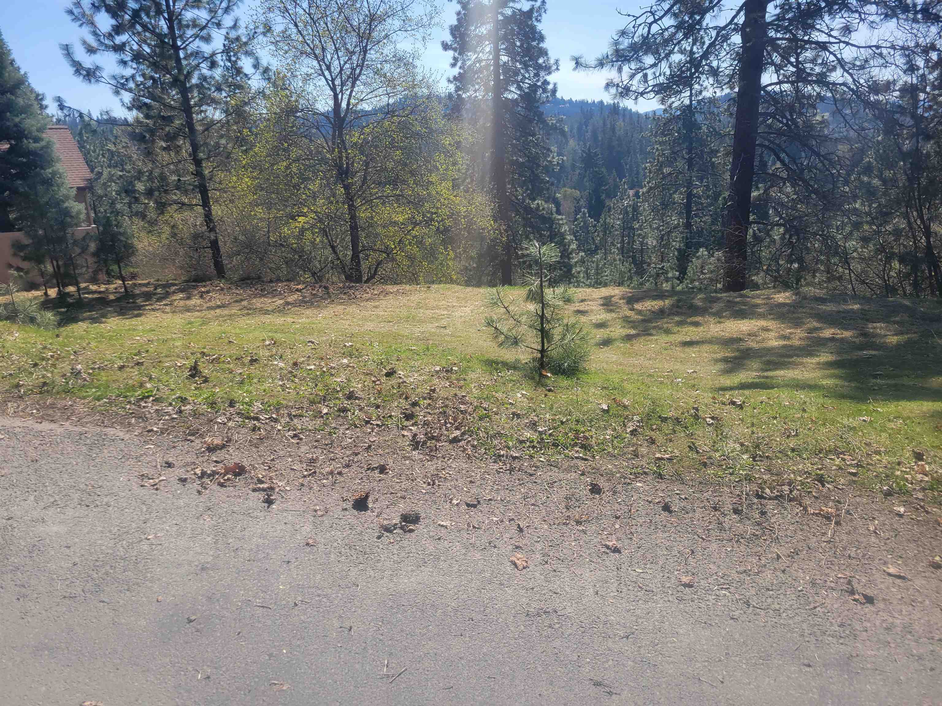 2190 East Stanley Hill Road Coeur D'Alene, ID 83814 - Photo 13 of 17