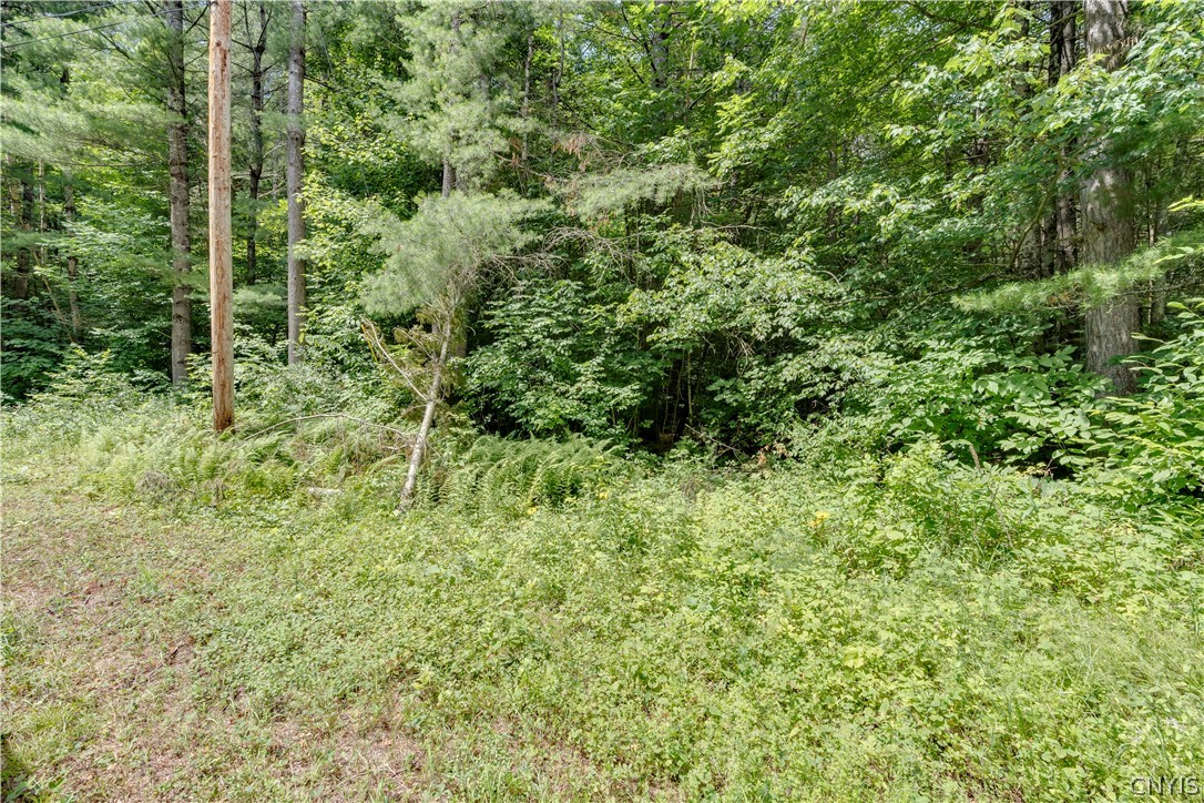 Stone Road Harrisville, NY 13648 - Photo 1 of 1 Gallery Image 1