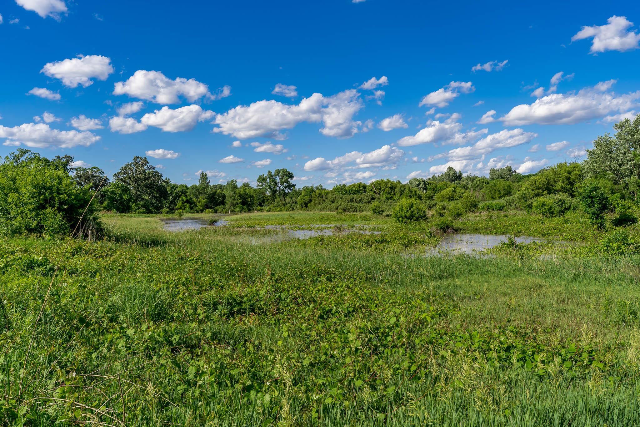 8321 Blomberg Road Cherry Valley, IL 61016 - Photo 65 of 65
