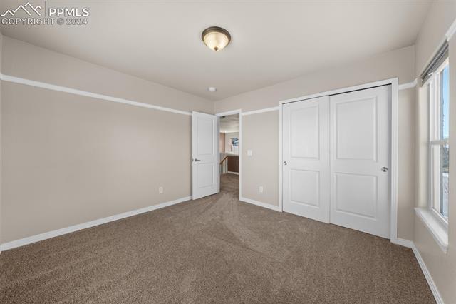 766 Struthers Ranch Road Colorado Springs, CO 80921 - Photo 17 of 40 Another view of the first bedroom