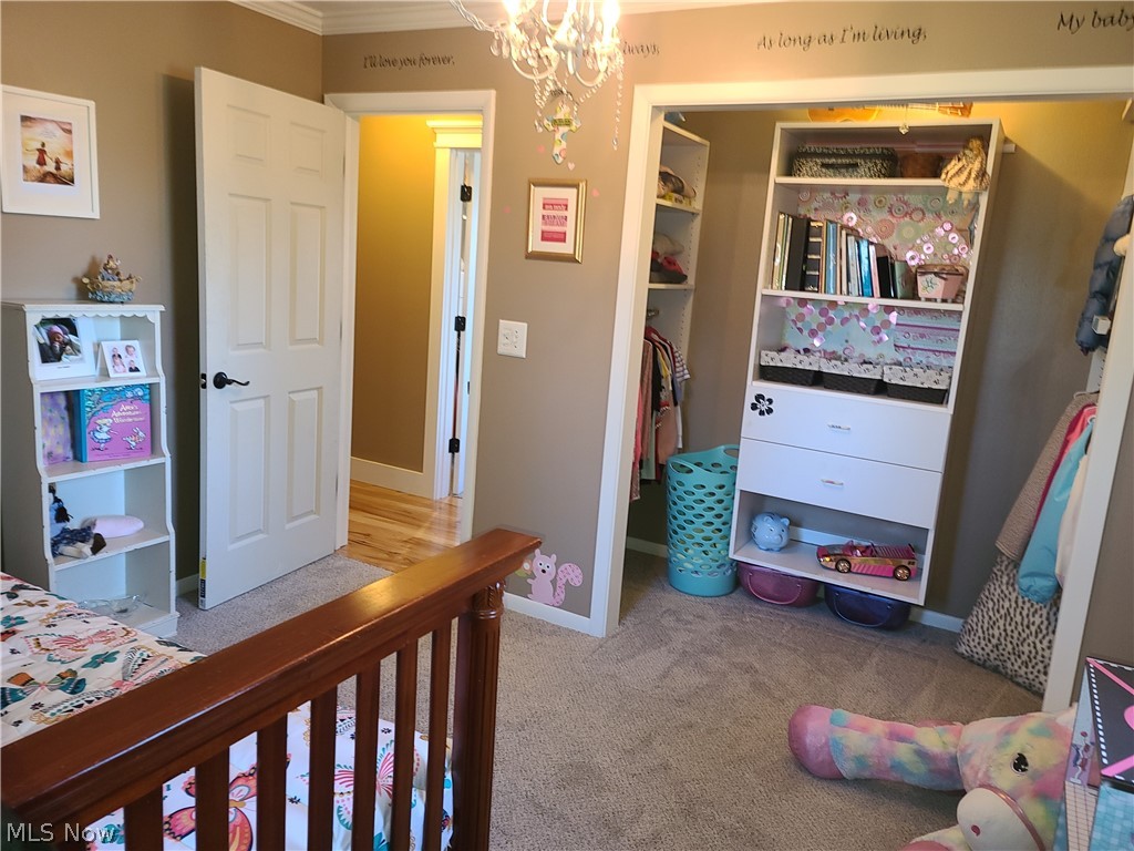 10141 Cutts Road Chardon, OH 44024 - Photo 13 of 24