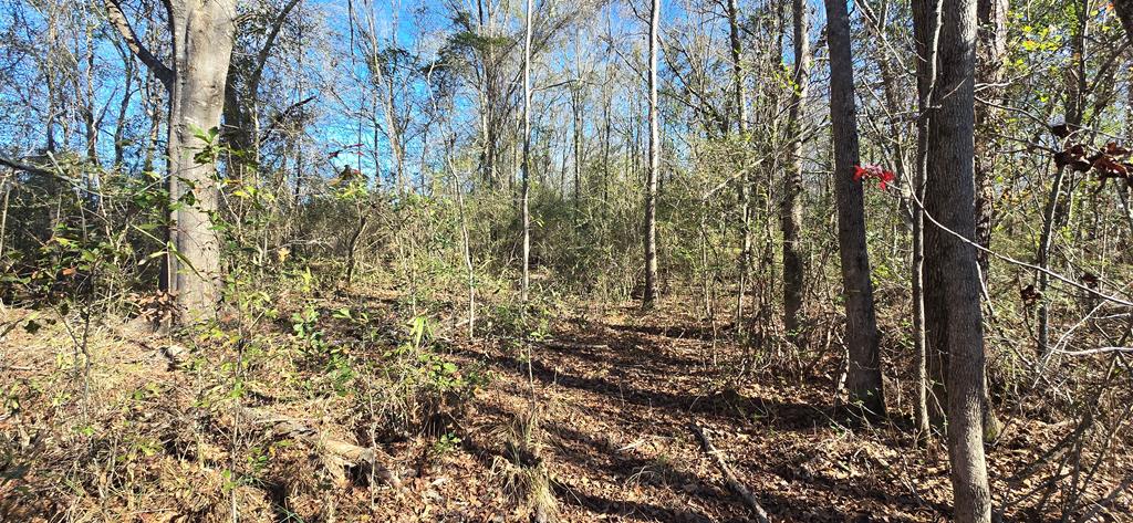 650 Grady Garner Road Slocomb, AL 36375 - Photo 67 of 82 Gallery Image 67