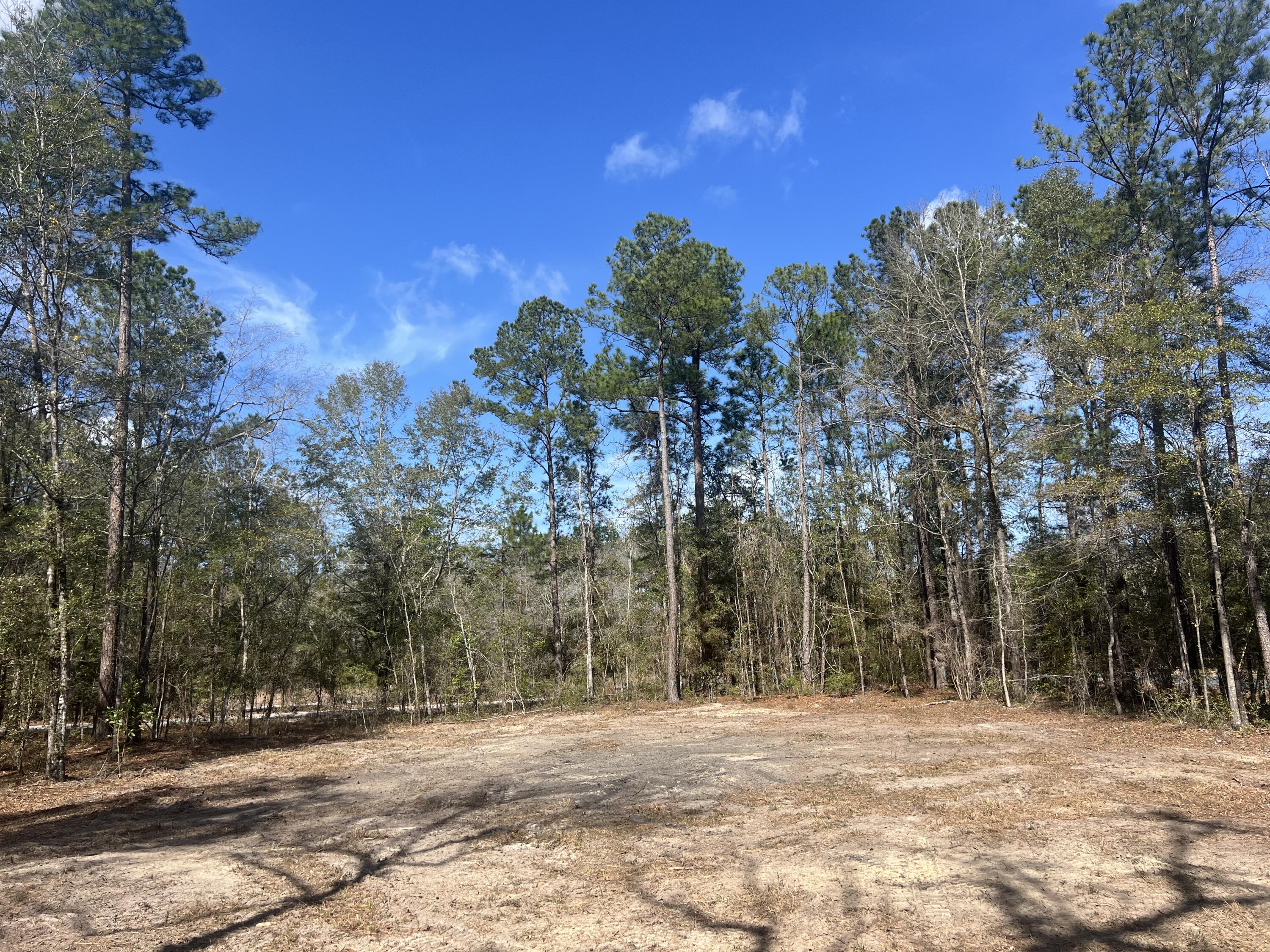 1969 Beach Road Walterboro, SC 29488 - Photo 2 of 4