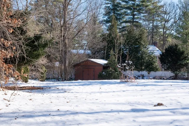 a view of dirt yard with trees