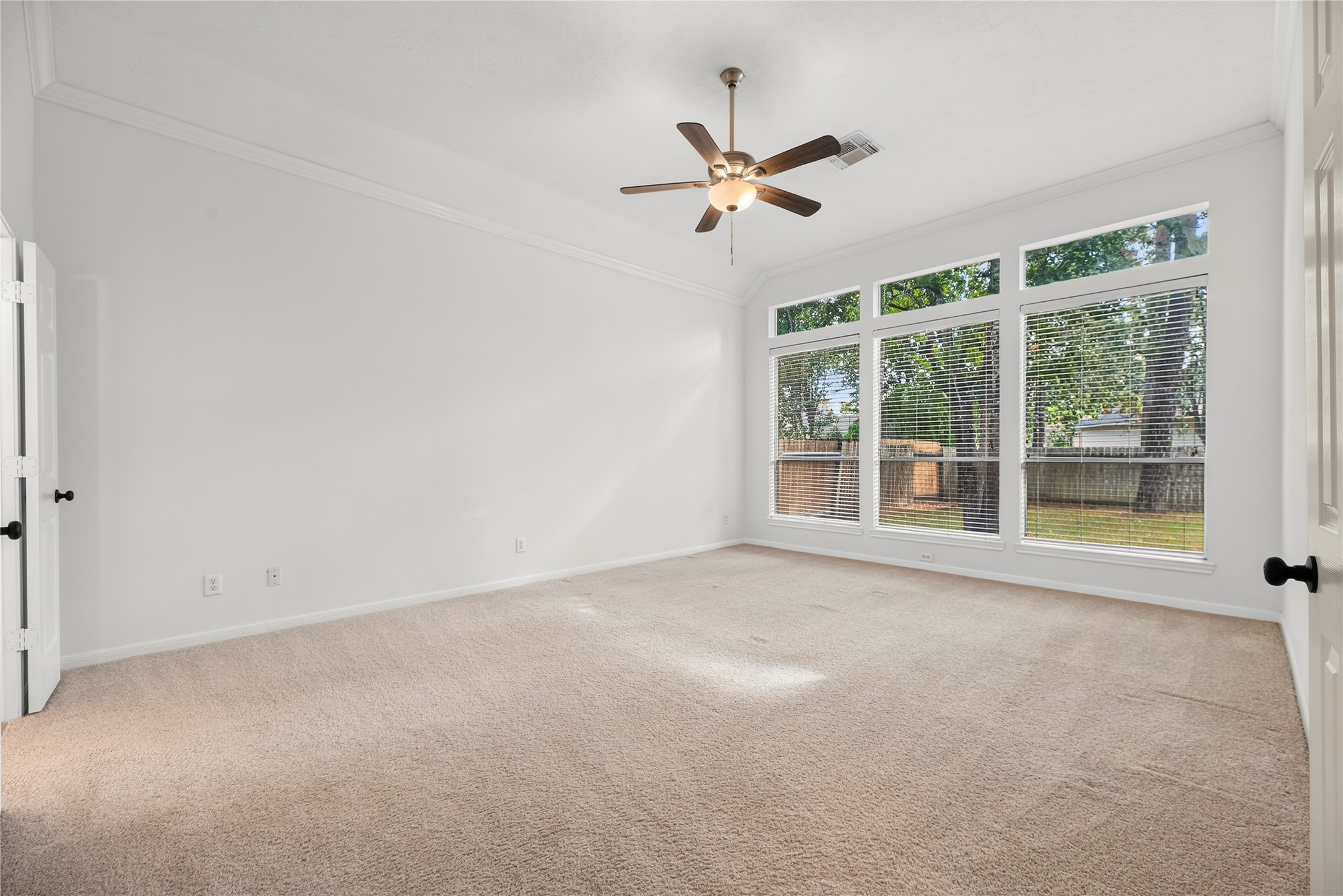 25830 Clear Springs Way Spring, TX 77373 - Photo 14 of 25 The primary retreat boasts plush carpet, crown molding, ceiling fan, en-suite bathroom and backyard views.
