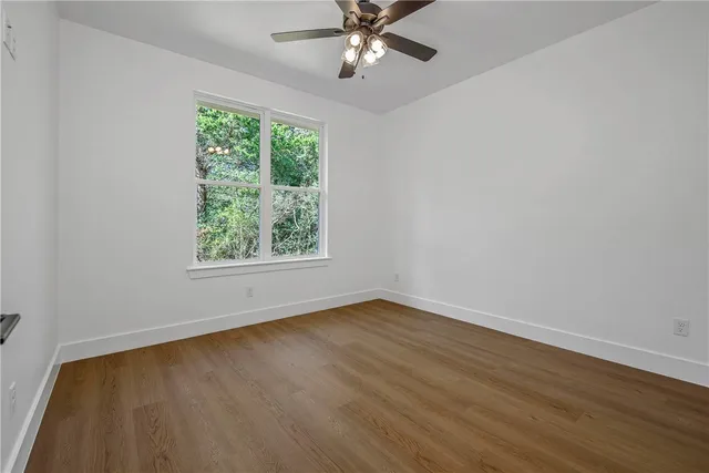 a view of a yard with plants and trees