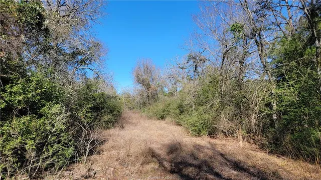 $698,000 | Lot 26 Forest Glen, Franklin, TX 77856