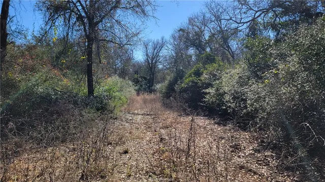 $698,000 | Lot 26 Forest Glen, Franklin, TX 77856