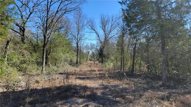 $698,000 | Lot 26 Forest Glen, Franklin, TX 77856