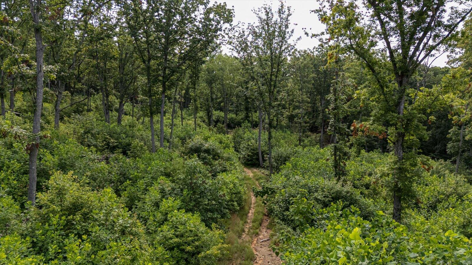 2148 Topside Drive Spencer, TN 38585 - Photo 14 of 31 11-Willow Ridge lot-10