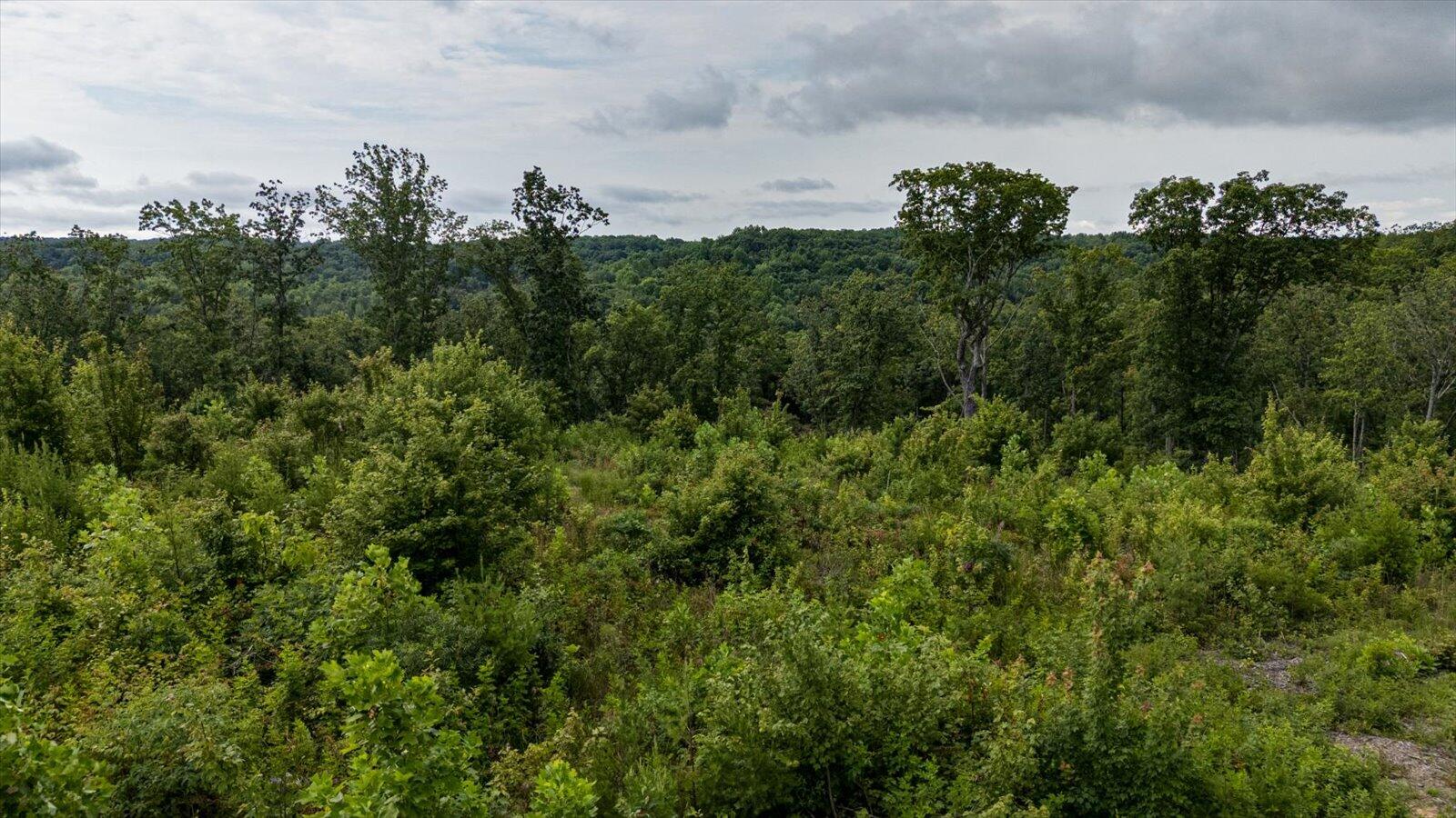 2148 Topside Drive Spencer, TN 38585 - Photo 28 of 31 30-Willow Ridge lot-29
