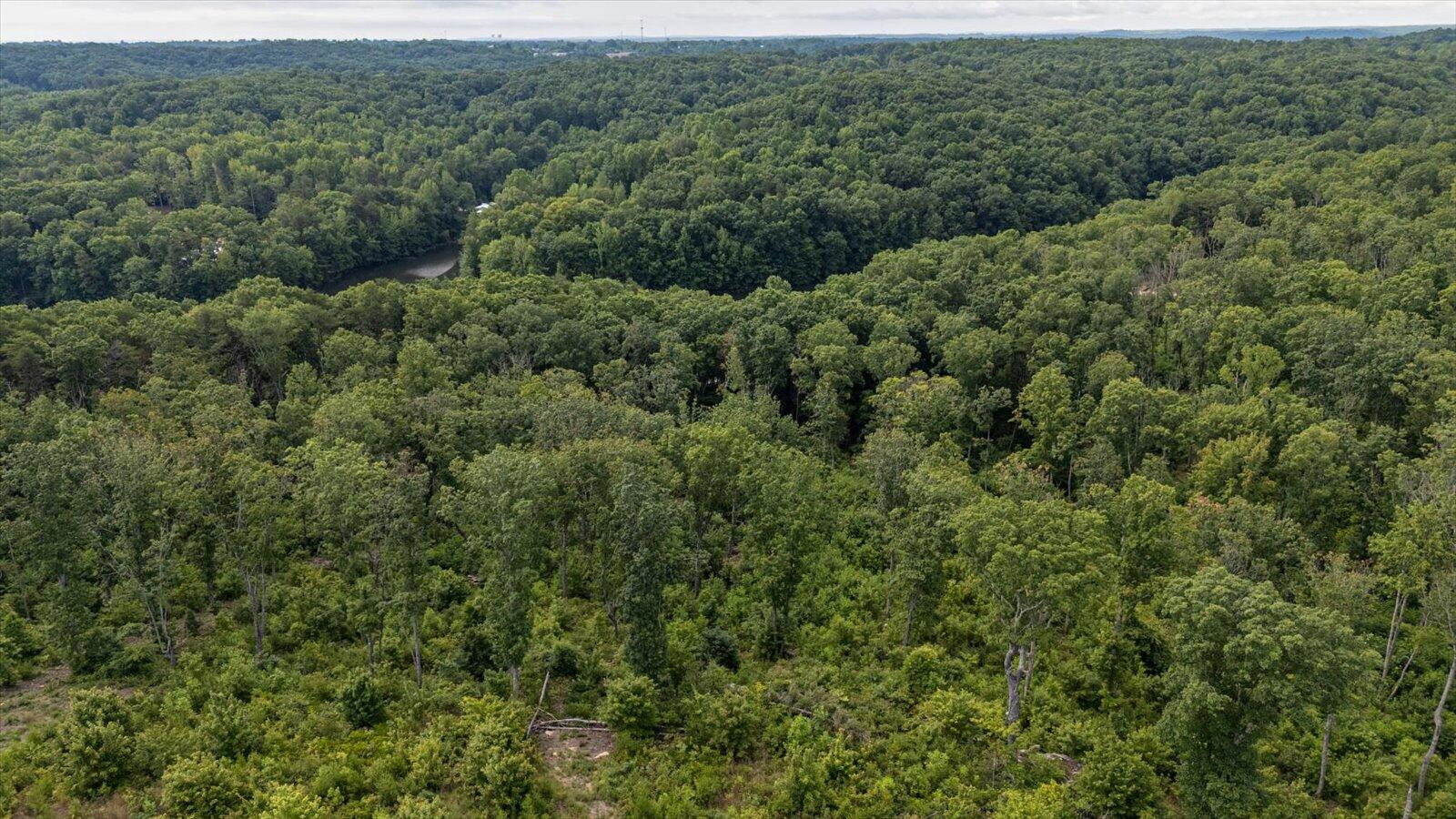 2148 Topside Drive Spencer, TN 38585 - Photo 29 of 31 31-Willow Ridge lot-30