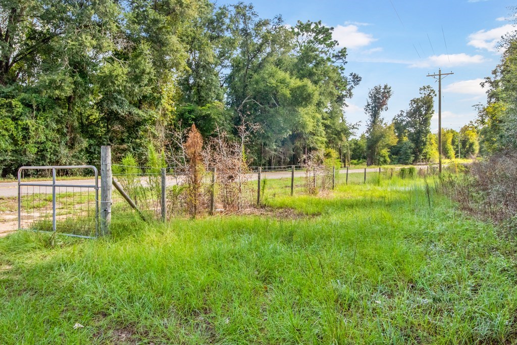 Undisclosed Address Gordon, AL 36343 - Photo 3 of 22