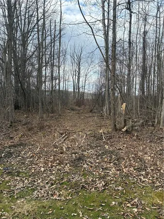 $379,999 | 4595 Stever Hill Road, Jerusalem, NY 14418