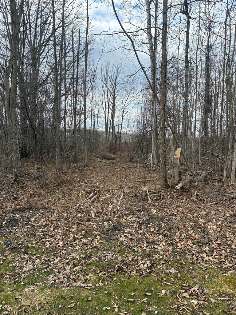 4595 Stever Hill Road Jerusalem, NY 14418 - Photo 6 of 50