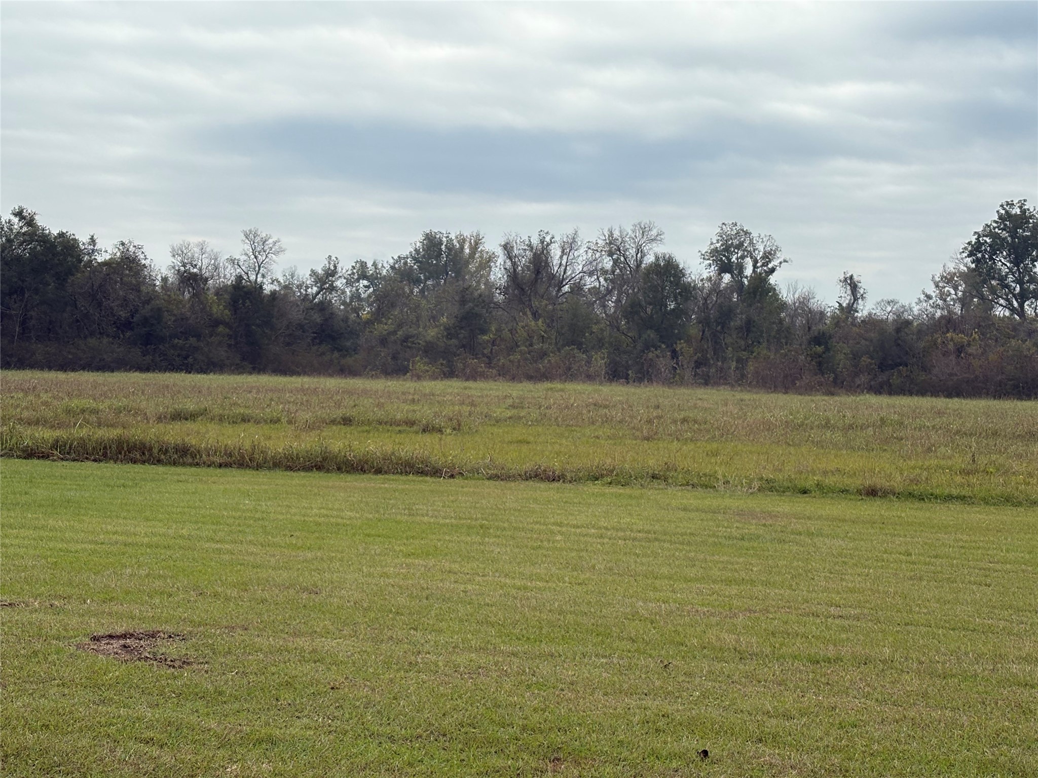 0 Cr-42 Rosharon, TX 77583 - Photo 5 of 6