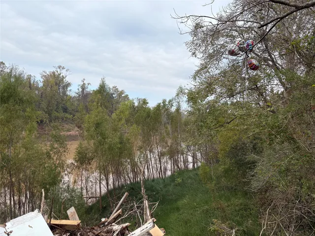 a view of a city with lush green forest