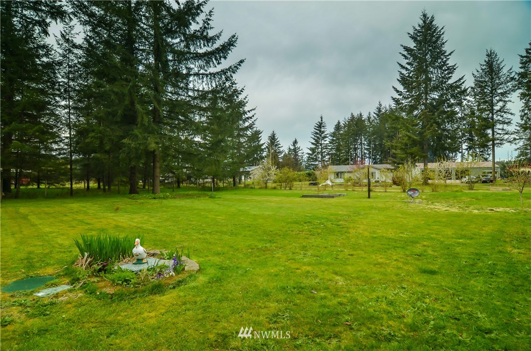 18445 Elderberry Street Southwest Rochester, WA 98579 - Photo 5 of 21