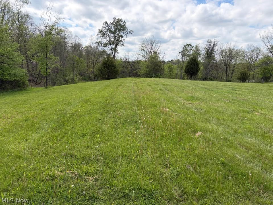 47341 Pitts Road Wellington, OH 44090 - Photo 8 of 40