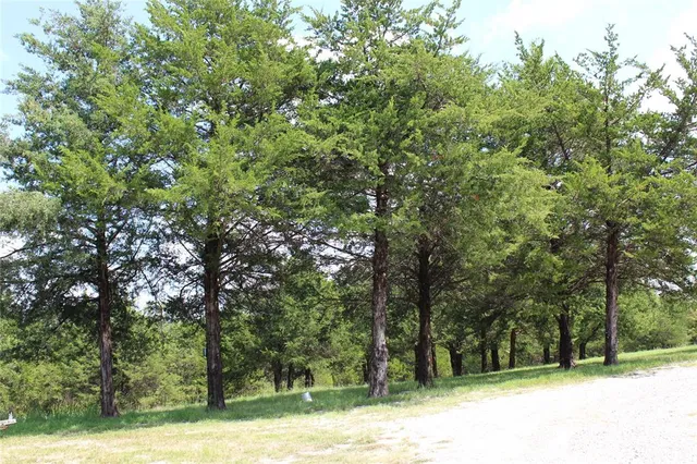 a view of a outdoor space