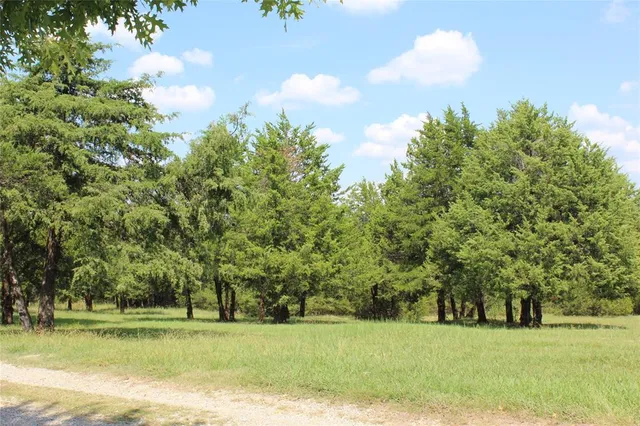 a view of a yard with large trees