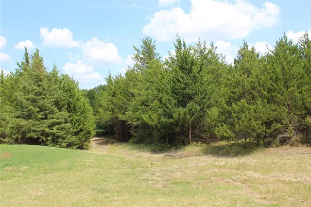 a view of outdoor space with trees