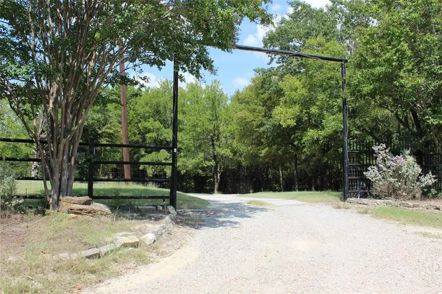 a view of a yard with a tree