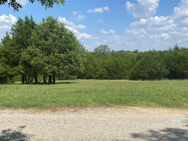 a view of a yard with an trees